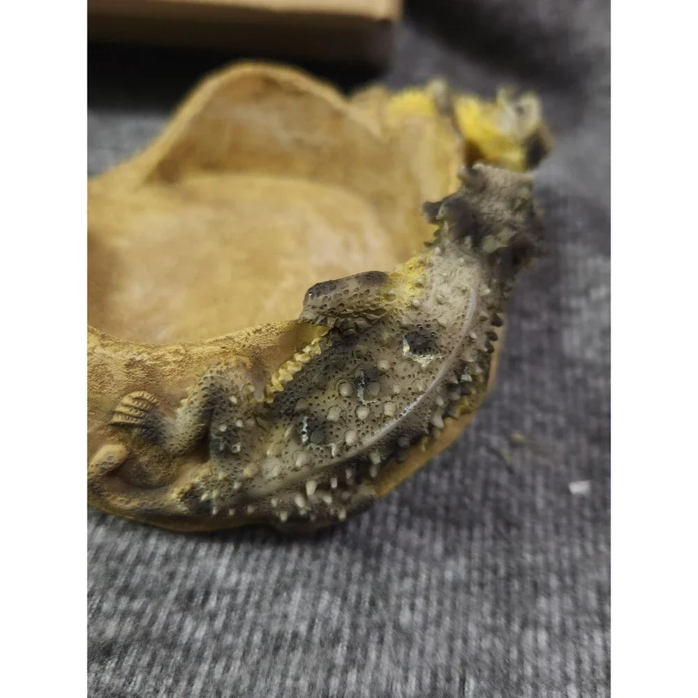 Brown Reptile Resin Dish and Coaster Set - Pets Reptile